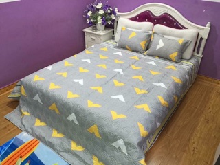 Bộ  chăn ga gối Poly trần bông