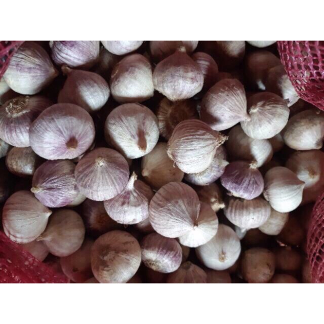 Sỉ 10kg tỏi cô đơn làm tỏi đen