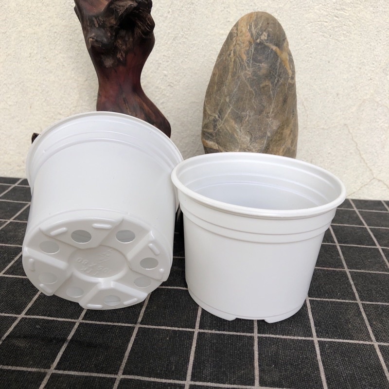 Chậu nhựa trắng trồng sen đá ươm cây giống size (10x8cm)