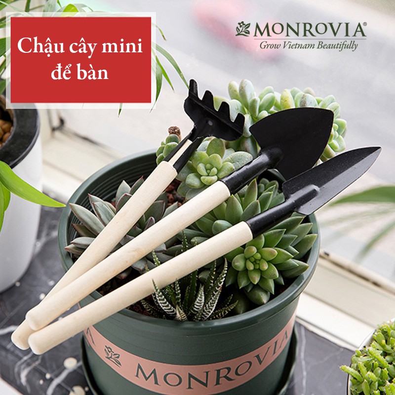 Combo 5 Chậu nhựa trồng cây MONROVIA 1 Gallon, để bàn, treo ban công, ngoài trời, sân vườn, tiêu chuẩn Châu Âu