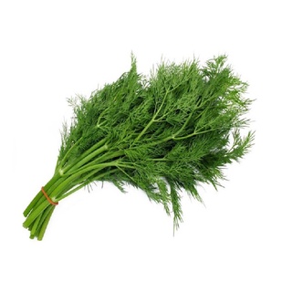 Lá Thì Là Ông Chà Và 500g (Dill Leaves)