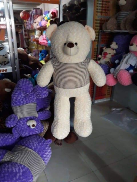 ( GN991 ) Gấu bông teddy khổ vải 1m4 cao 1m2( huongle )