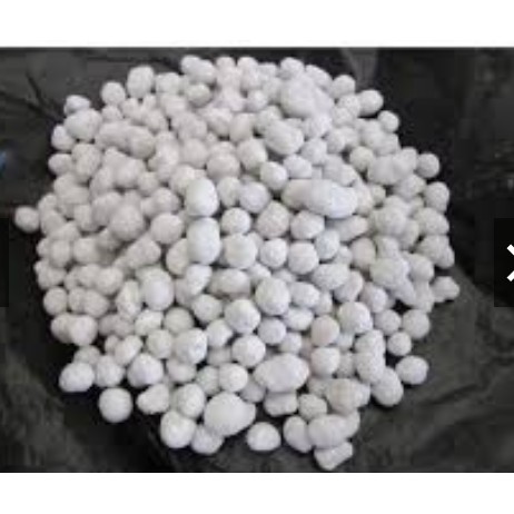 100g phân bón tan chậm MagampK Nhật Bản ( phân trắng Nhật)