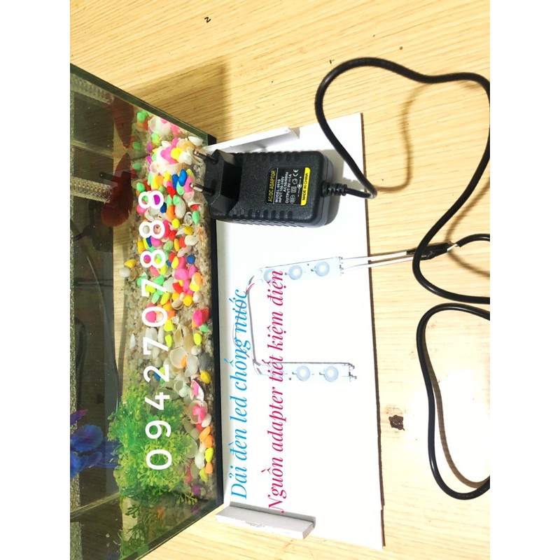 Set bể cá mini có lọc kèm nắp đèn và 7 món( bể, lọc, cây, sỏi màu, vỏ sò biển, nắp đèn led, thức ăn cá)