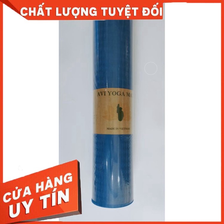 (Tặng túi) Thảm tập yoga cao cấp xuất xứ Việt Nam chất liệu TPE  dày 8mm có định tuyến chống trơn trượt - AVI Việt Nam