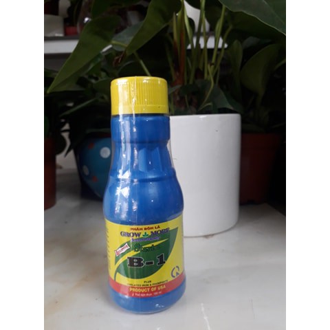 Vitamin B1 Mỹ loại 100ml