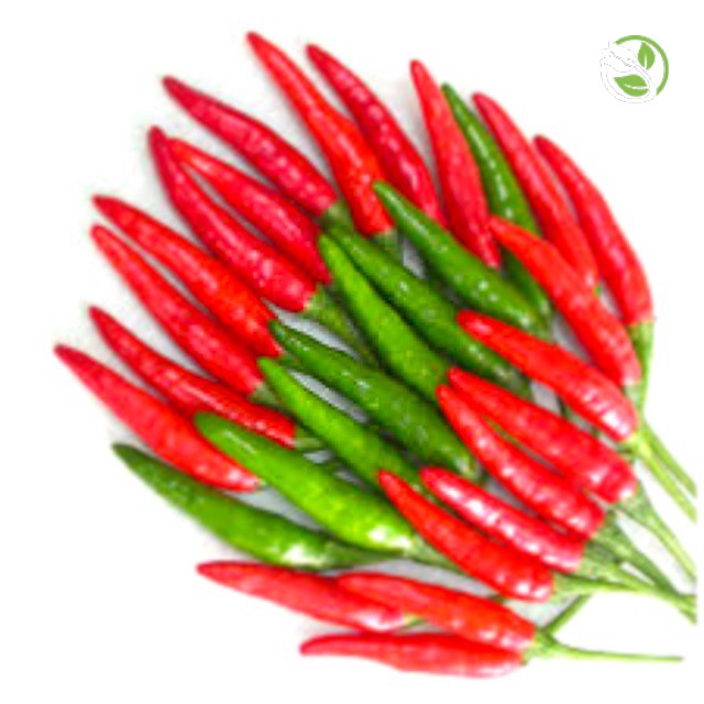 Hạt Giống Ớt Chỉ Thiên Siêu Cay F1 PN-168 Phú Nông - Gói 0.1g - Hot Pepper