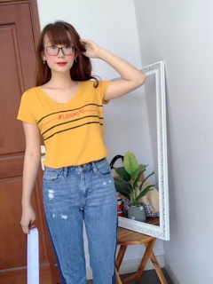 Áo thun cotton cổ tim