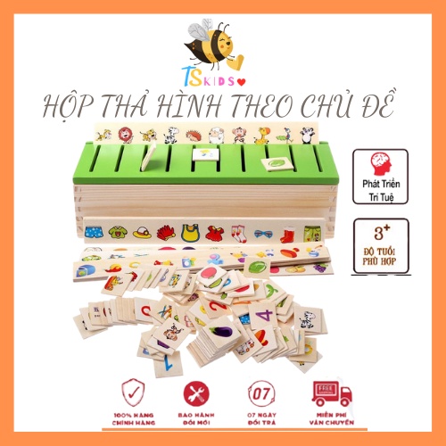 [Rẻ vô địch] HỘP THẢ HÌNH THEO CHỦ ĐỀ TS Kids Shop