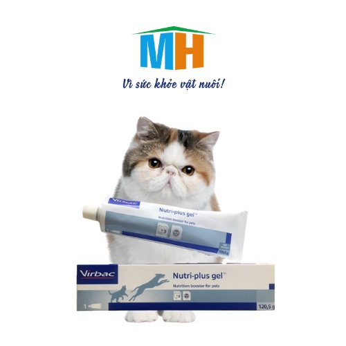 Gel Dinh Dưỡng Nutri-Plus Gel Dành Cho Chó Mèo- MINH HIẾU 4