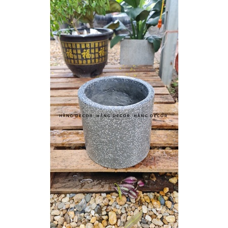 Chậu xi măng vuông, trụ hằng decor