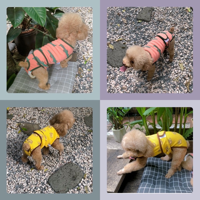 Quần sinh lý thú cưng unisex