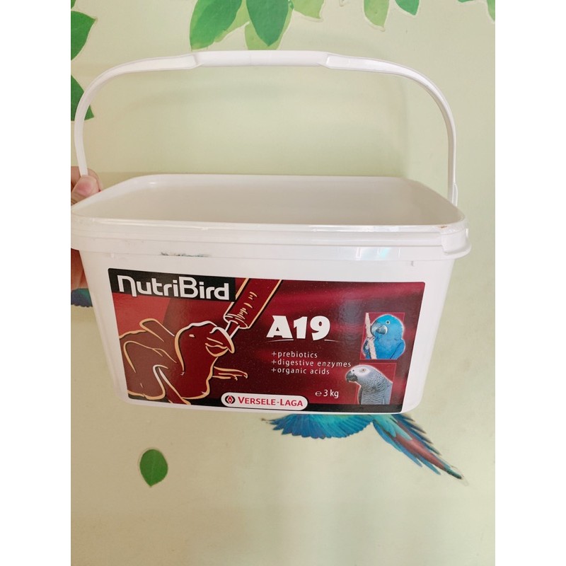 Hộp nuôi Vẹt non kèm vỉ lưới tặng 1 kg gỗ nén