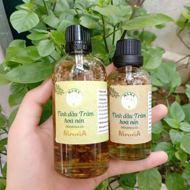 Tinh dầu tràm hoa nén 50ml