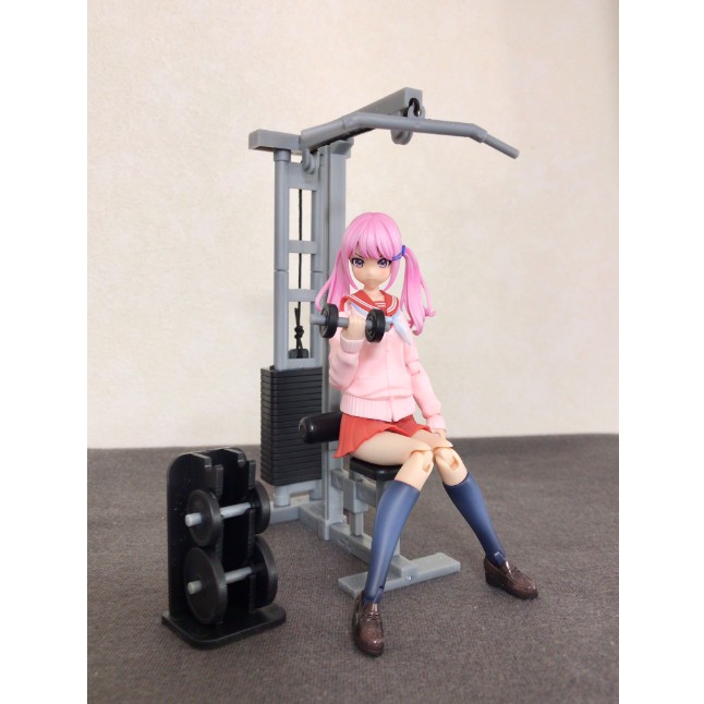 Đồ chơi mô hình 1/12 Dụng cụ Gym phụ kiện SHF figma Chính hãng