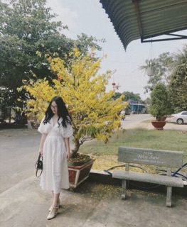 [BIG SIZE] Đầm cách điệu eo