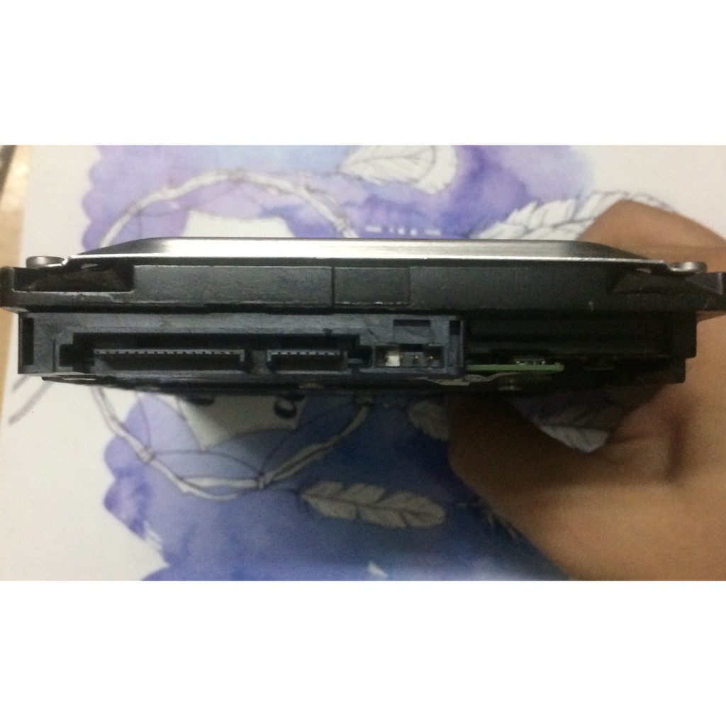 Ổ Cứng HDD Seagate PC 250GB  (Tặng kèm cáp sata!) | BigBuy360 - bigbuy360.vn