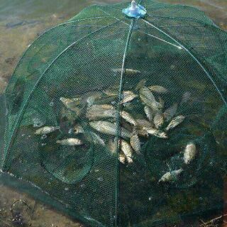 Lưới đánh cá Bát Quái