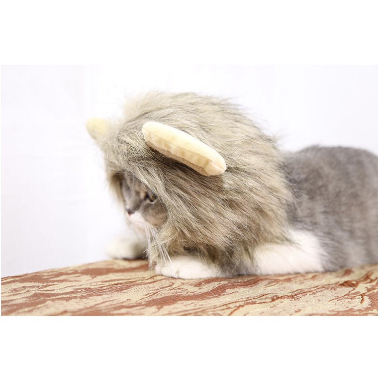 Nón cho chó mèo bờm sư tử cosplay, mũ đội thời trang cho thú cưng Con Mèo Xiêm