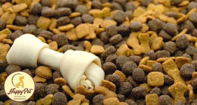 XƯƠNG XOẮN SỮA Size 16cm