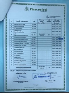 Khẩu trang 4 lớp Việt Thắng