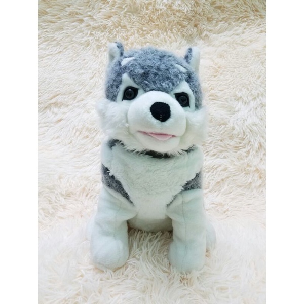 Gấu bông con chó Husky Alaska giống thật