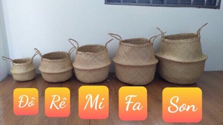 Sọt cói trồng cây đựng đồ