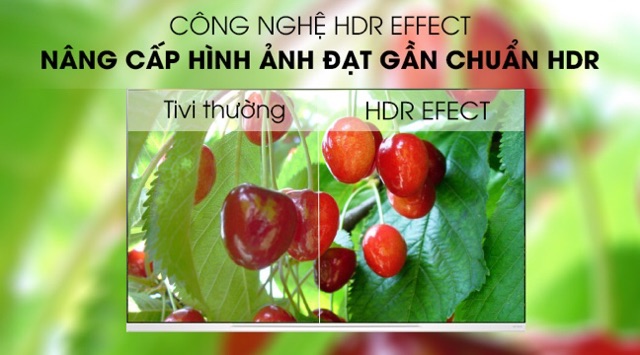 Smart Tivi OLED LG 4K 55 inch 55E9PTA Mẫu 2019(Miễn phí giao tại HCM-ngoài tỉnh liên hệ shop)