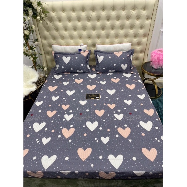Bộ ga gối trần bông BAMBILOO cotton nhật