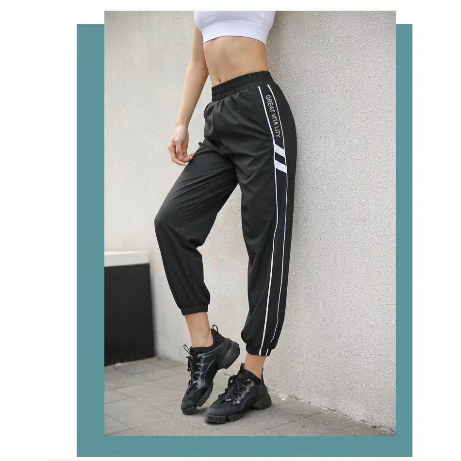 Quần Jogger Tập Gym, Yoga, Aerobic Nữ Vải Co Giãn Tốt, Mặc Ôm Dáng Thoáng Mát, Nâng Mông, Tôn Vòng 3 Bin Sport Q078