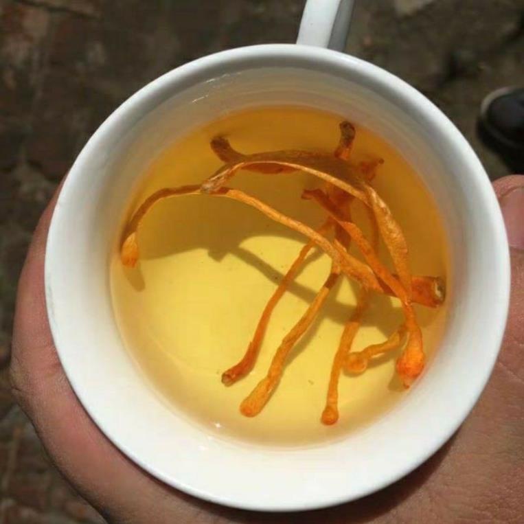 [SỈ] Đông trùng Hạ thảo khô 500gr nguyên chất | BigBuy360 - bigbuy360.vn