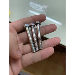 Ốc củ đề dream thái tồn