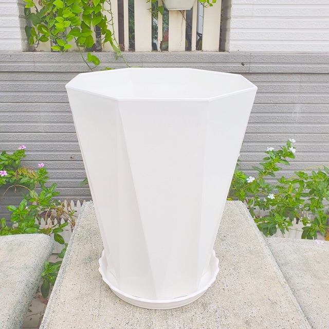 2 Chậu Nhựa Trồng Cây Dáng Cao, Chậu kim cương, Chậu 8 Canh, Chậu Lục Giác (Nhiều màu)