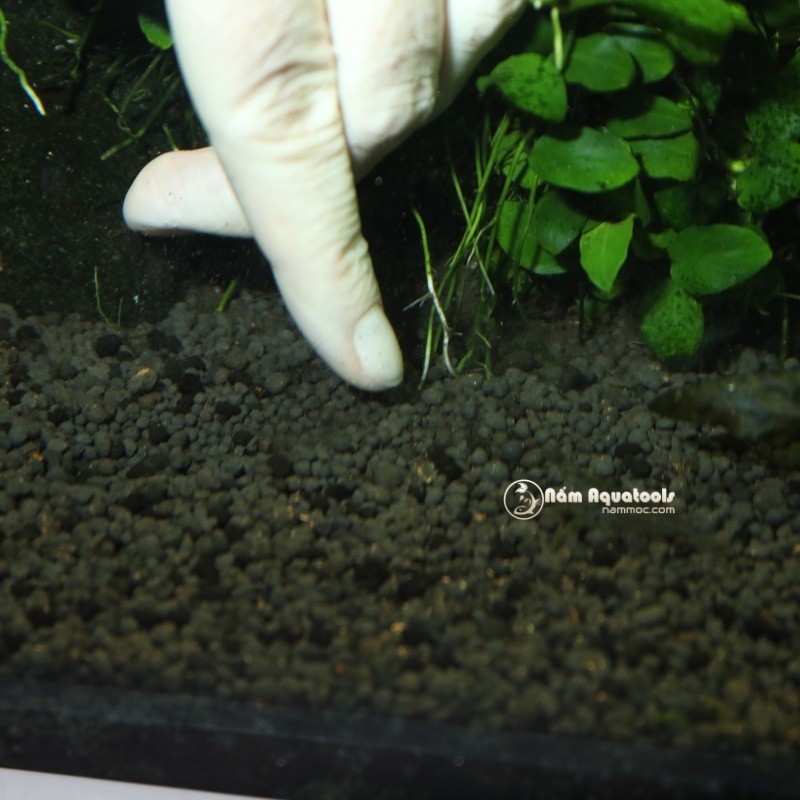 JBL PROFLORA 7+13 Balls | Phân Nhét Gốc JBL - Dùng Cho Bể Cá Thuỷ Sinh (Hộp 20 viên)