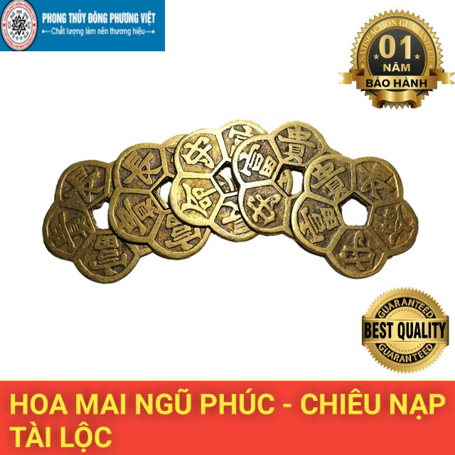 Combo 3 Đồng Hoa Mai Chiêu Tài | BigBuy360 - bigbuy360.vn