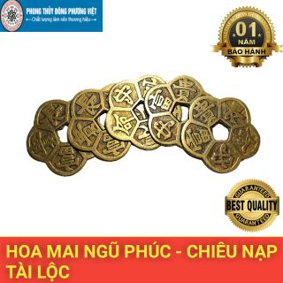 Combo 3 Đồng Hoa Mai Chiêu Tài