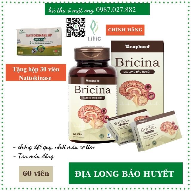 BỔ NÃO BRICINA – Địa Long bảo huyết hỗ trợ tan cục máu đông, hỗ trợ sau tai biến do tắc mạch máu