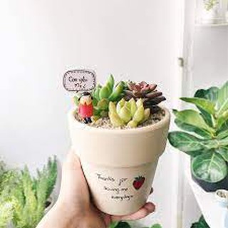 Chậu đất nung trắng