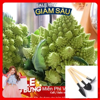 Hạt Giống Súp Lơ San Hô - 10Hạt / Gói - Tặng Kèm Bộ Dụng Cụ Trồng Cây Mini