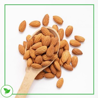 Hạt Nấu Sữa - Set Óc chó Mix