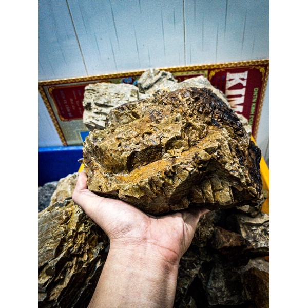 Đá Trầm Suối | Trang Trí Setup Bể Thủy Sinh, Biotope, Blackwater,.... | Mua nhiều giá tốt