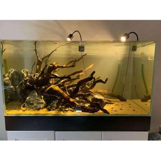Đèn Rọi Biotope Bể Cá 3 Chế Độ