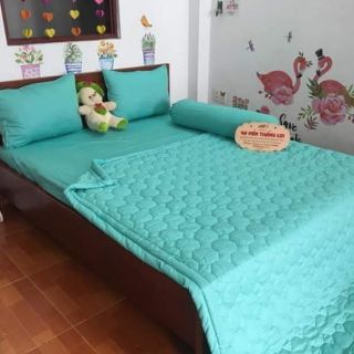 Drap cotton màu trơn Thắng Lợi.