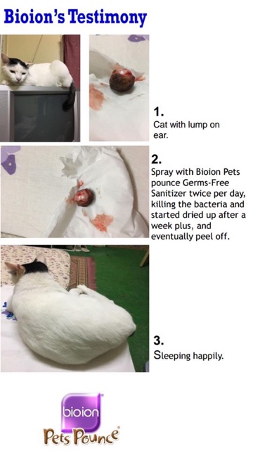 Xịt khử mùi Pet Pounce