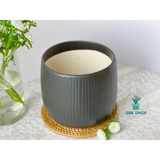 Chậu men trồng cây màu pastel .