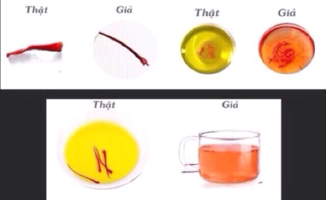 9Gr Nhuỵ Hoa Nghệ Tây