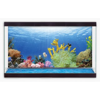 Tranh nền dán hồ cá 3D Aqua -   kích thước theo yêu cầu