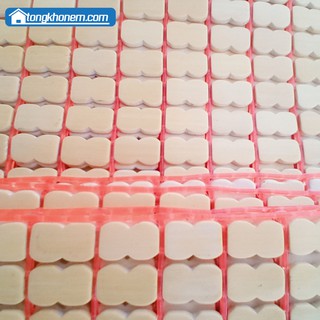 Chiếu trúc hạt vàng