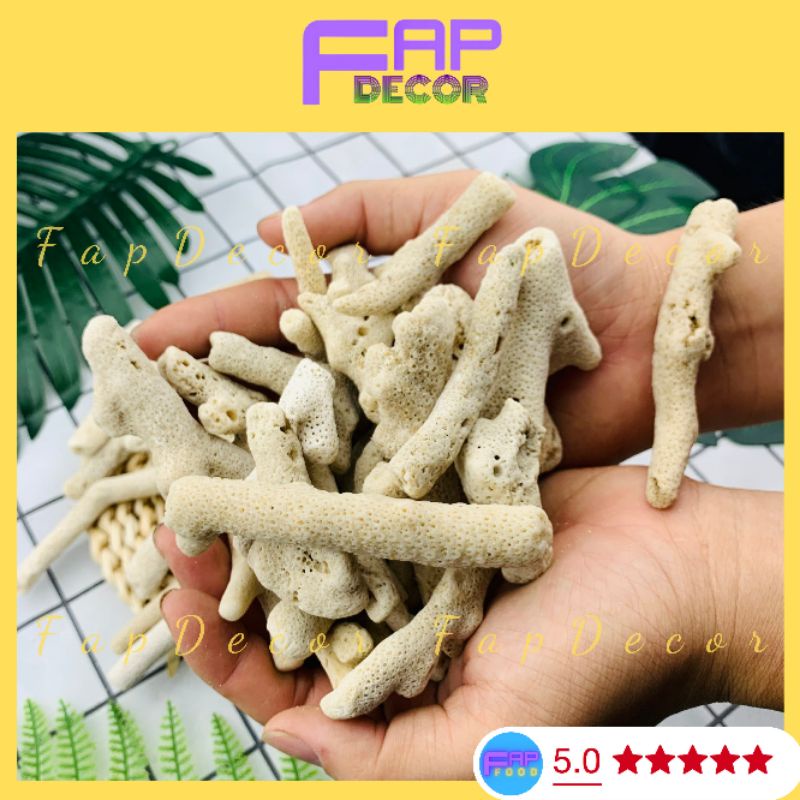 San Hô Lọc Nước Hồ Cá, San Hô Tăng Độ PH Trong Nước Cho Bể Cá - FapFood