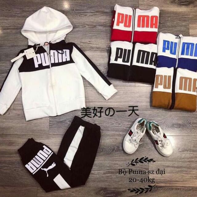 Bộ  gái  cosy